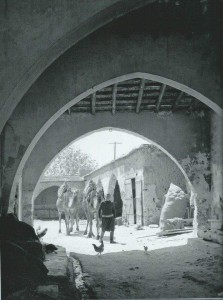 korkut