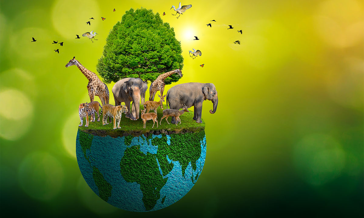 Dünya Yalnız Bizim Değil