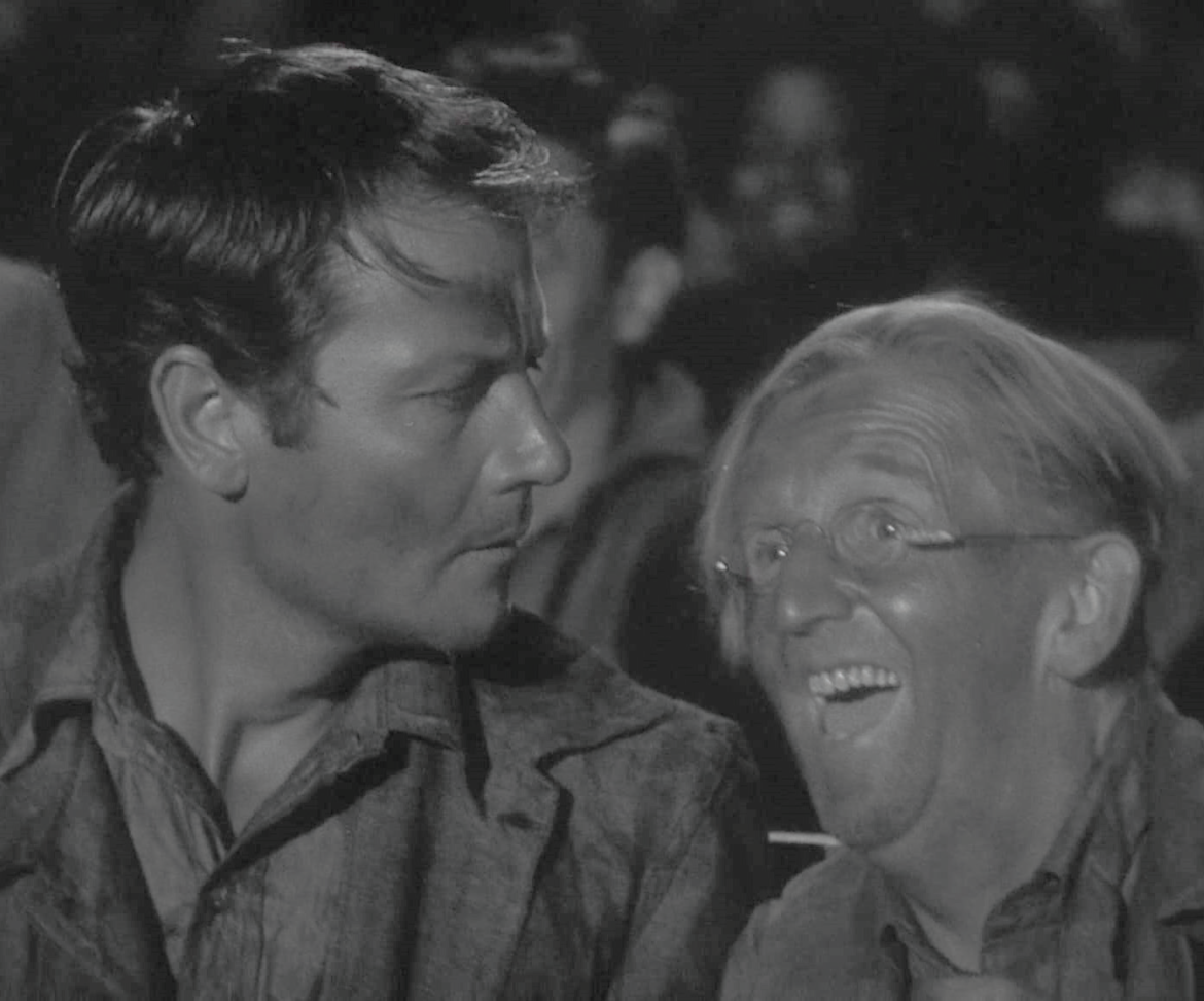 Vicdanlıların Yolculukları – Arman Garip